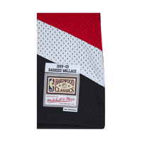 Swingman Jersey - Rasheed Wall