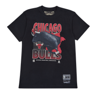 Bulls Scenic Tee