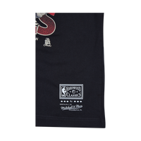 Bulls Scenic Tee