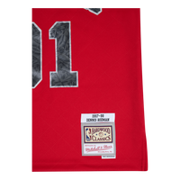 Bulls 75th Anniversary Swingman Jersey - Rodman