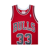 Swingman Jersey - Scottie Pippen