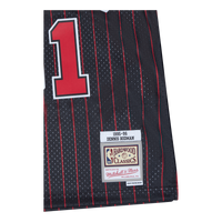 Swingman Jersey -Dennis Rodman