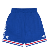 Swingman Shorts Royal