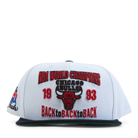 Bulls Back To 93 Snapback