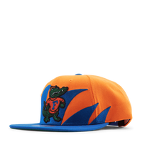 Gators Sharktooth Snapback