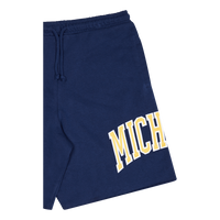 Michigan Game Day Ft Shorts