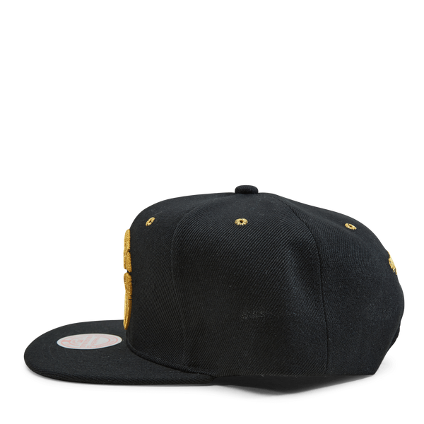 Raptors Fools Gold Snapback