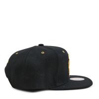 Raptors Fools Gold Snapback