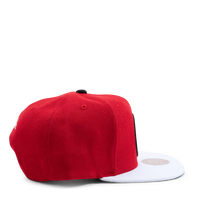 Nets Cardinal 2 Tone Snapback