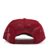 Bulls Puff The Magic Trucker HWC