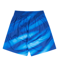Nets Swingman Shorts 90