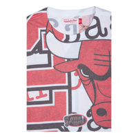 Bulls Jumbotron 2.0 Sublimated