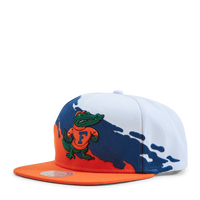 Gators Paintbrush Snapback NCAA