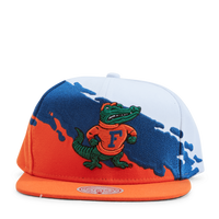 Gators Paintbrush Snapback NCAA