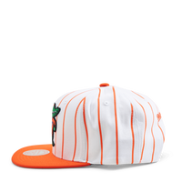 Gators Newco Snapback