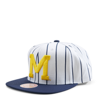 Michigan Newco Snapback
