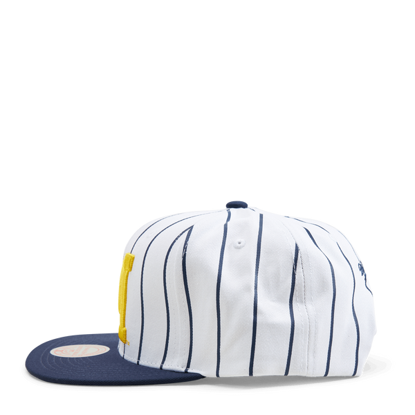 Michigan Newco Snapback