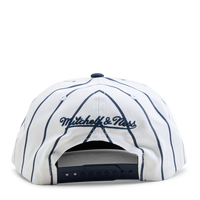 Michigan Newco Snapback
