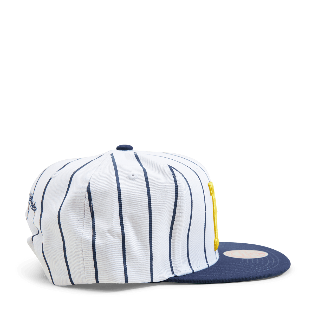 Michigan Newco Snapback
