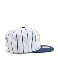 Michigan Newco Snapback