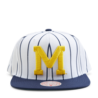 Michigan Newco Snapback