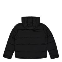 Dickies Glacier View Puffer