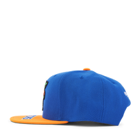 Gators Logo Bill Snapback