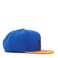 Gators Logo Bill Snapback