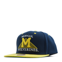 Michigan Monument Snapback