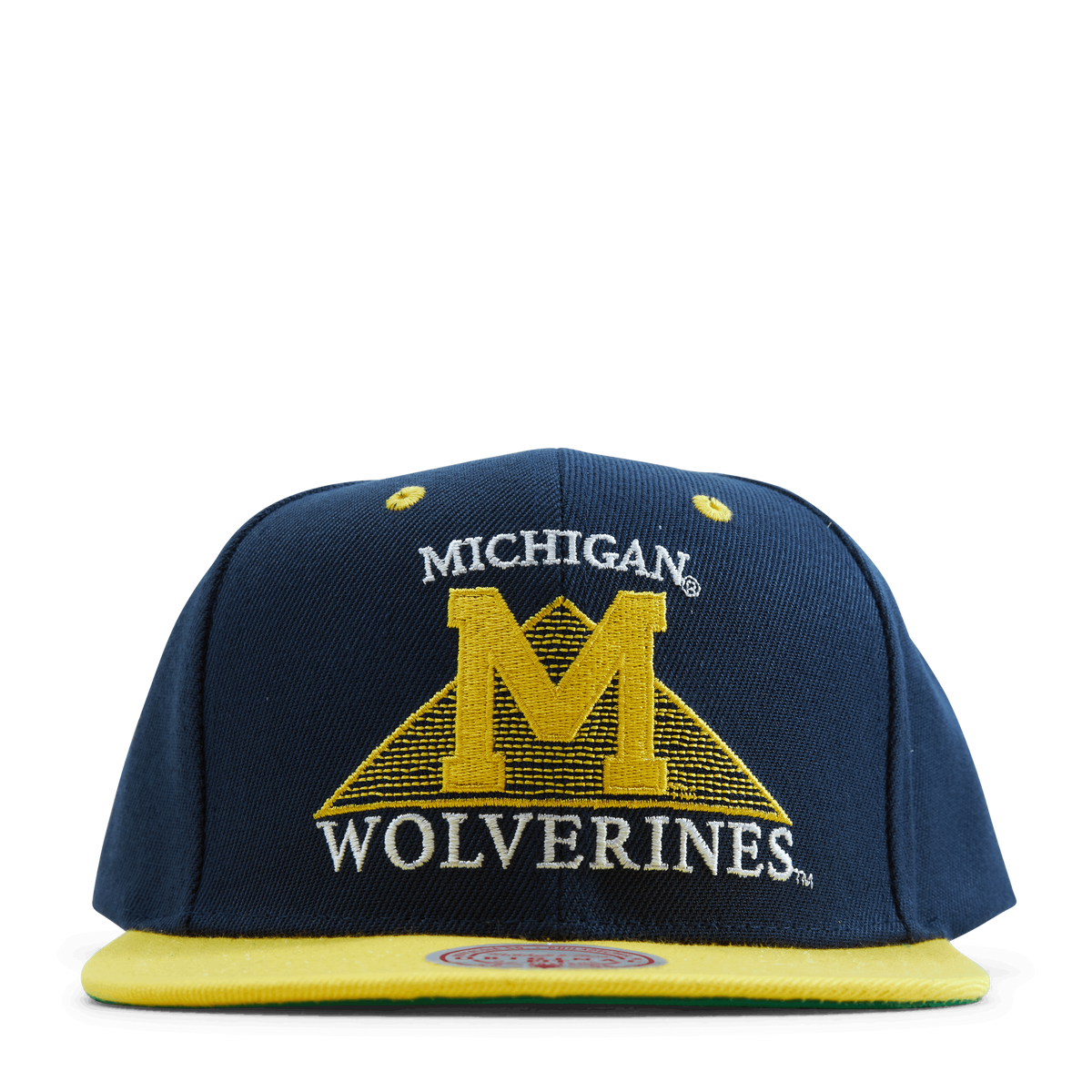 Michigan Monument Snapback