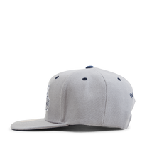 Hornets The District Snapback HWC