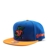 Gators Team Origins Snapback