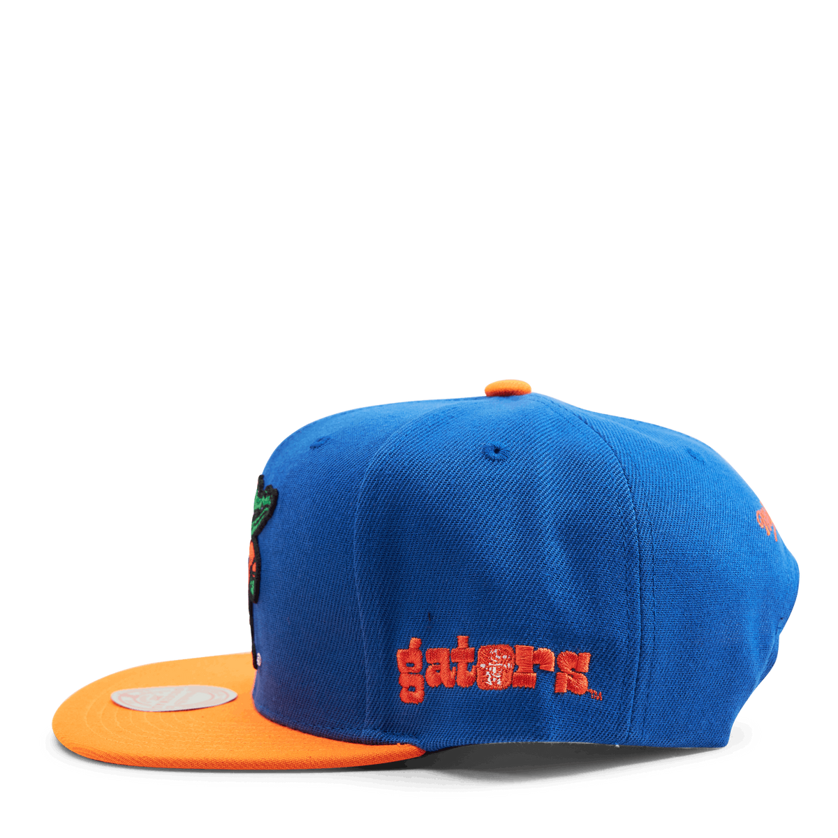 Gators Team Origins Snapback