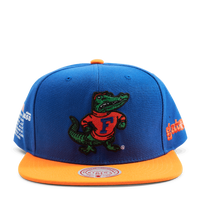 Gators Team Origins Snapback