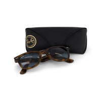 Wayfarer