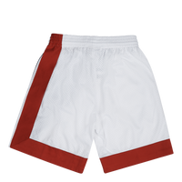 Nets Swingman Shorts 73-74