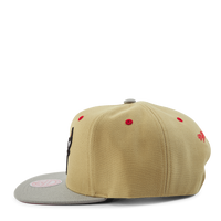 Classic Canvas Snapback