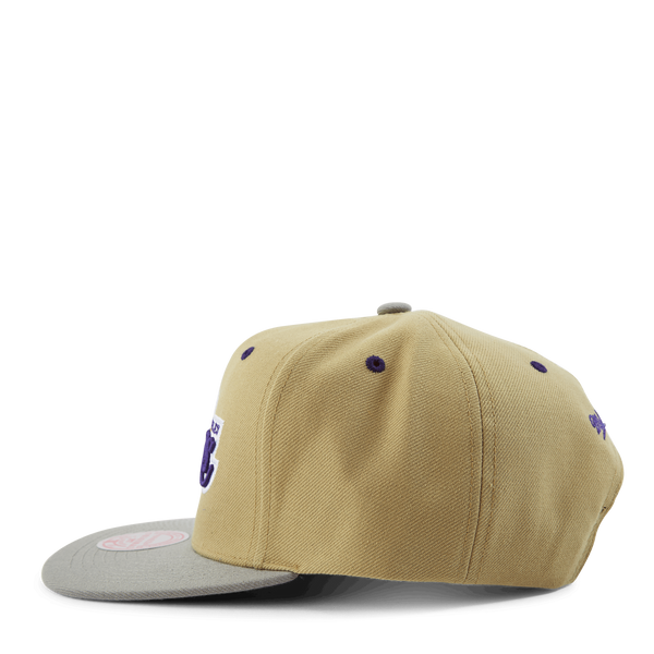 Classic Canvas Snapback