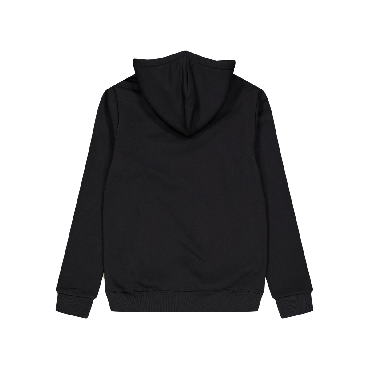 Dickies Icon Logo Hoodie