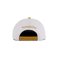 Raptors Side Core 2.0 Snapback