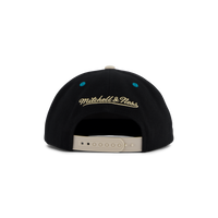Hornets Pin Drop Snapback