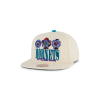 Hornets Reframe Retro Snapback HWC