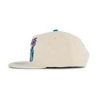 Hornets Reframe Retro Snapback HWC
