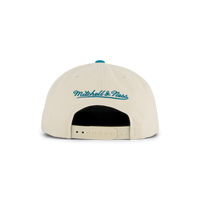 Hornets Reframe Retro Snapback HWC