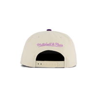 Lakers Reframe Retro Snapback HWC