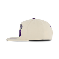Bucks Reframe Retro Snapback HWC