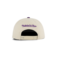 Bucks Reframe Retro Snapback HWC