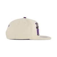 Bucks Reframe Retro Snapback HWC