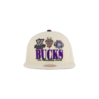 Bucks Reframe Retro Snapback HWC