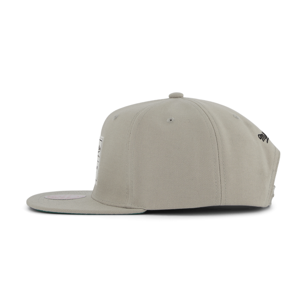 Branded Gameday Snapback
